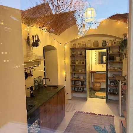 Lilly's Calm Souterrain With Garden * 格拉茨