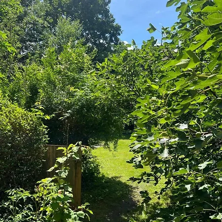 Lilly's Calm Souterrain With Garden * 格拉茨