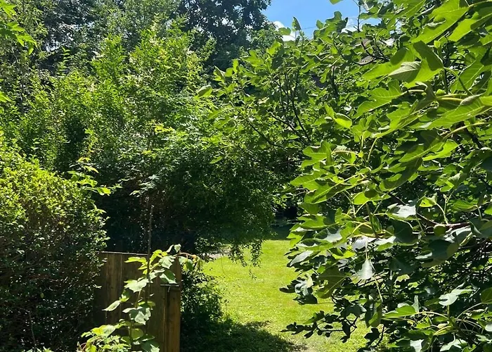 Lilly's Calm Souterrain With Garden * 格拉茨